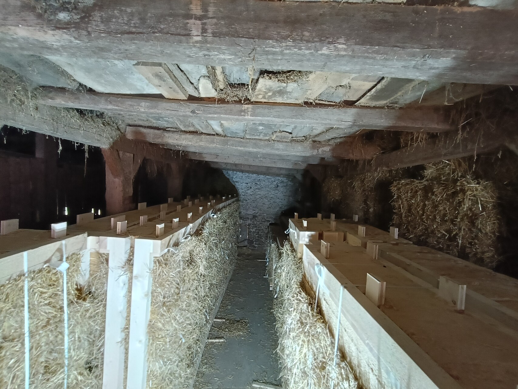Article 12 : Les murs en paille porteuse sont faits